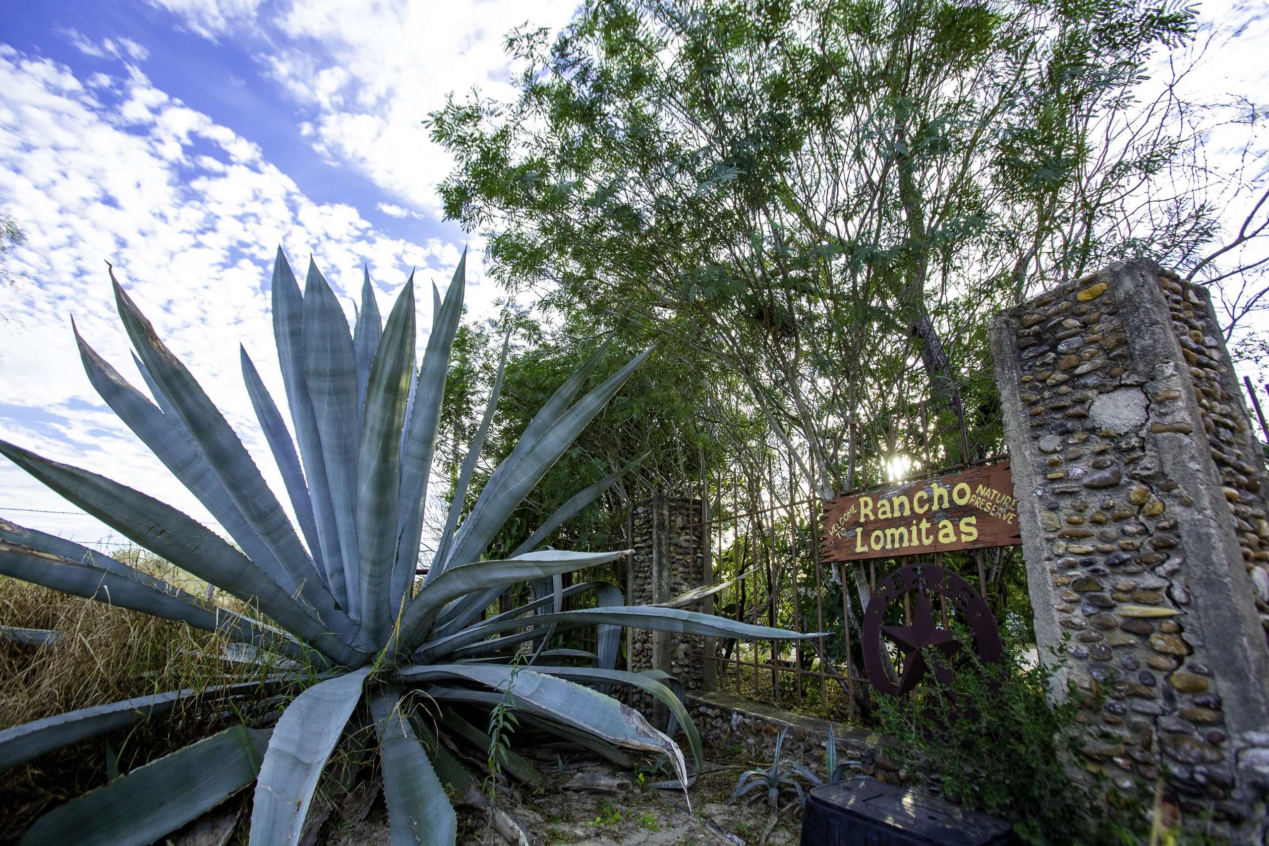 Rio rancho plant nursery